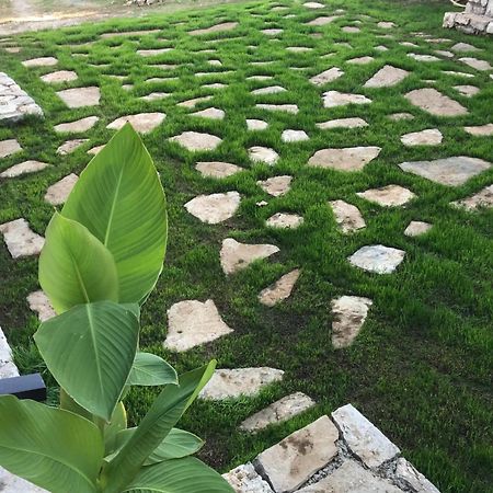 Green Silence - Vuk Podgorica Exteriör bild