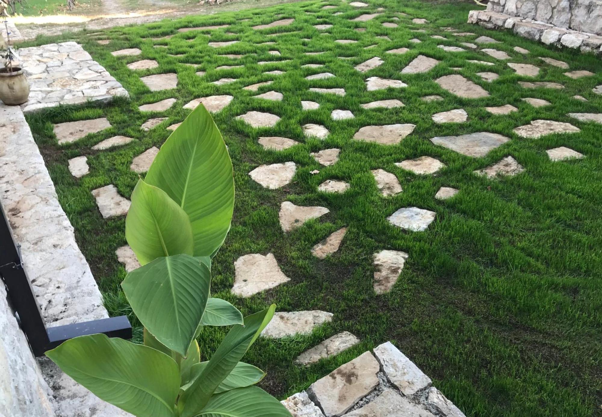 Green Silence - Vuk Podgorica Exteriör bild