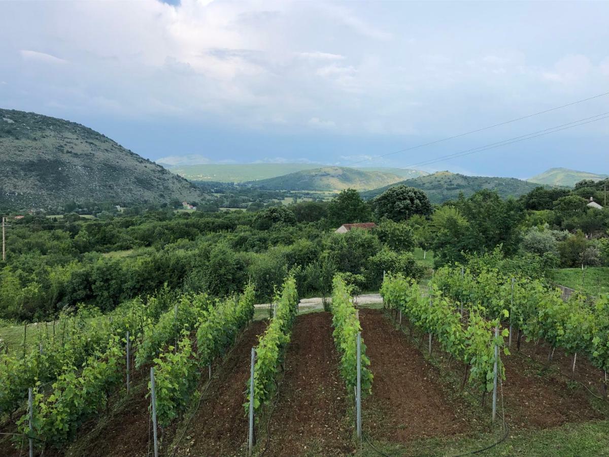 Green Silence - Vuk Podgorica Exteriör bild